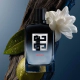 Gentleman Society Sport EDP 100 ml