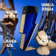 Bad Boy Cobalt Absolute EDP 100 ml